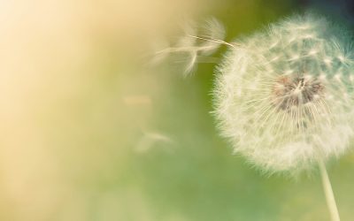 Cómo lograr cambios reales en la conducta ética